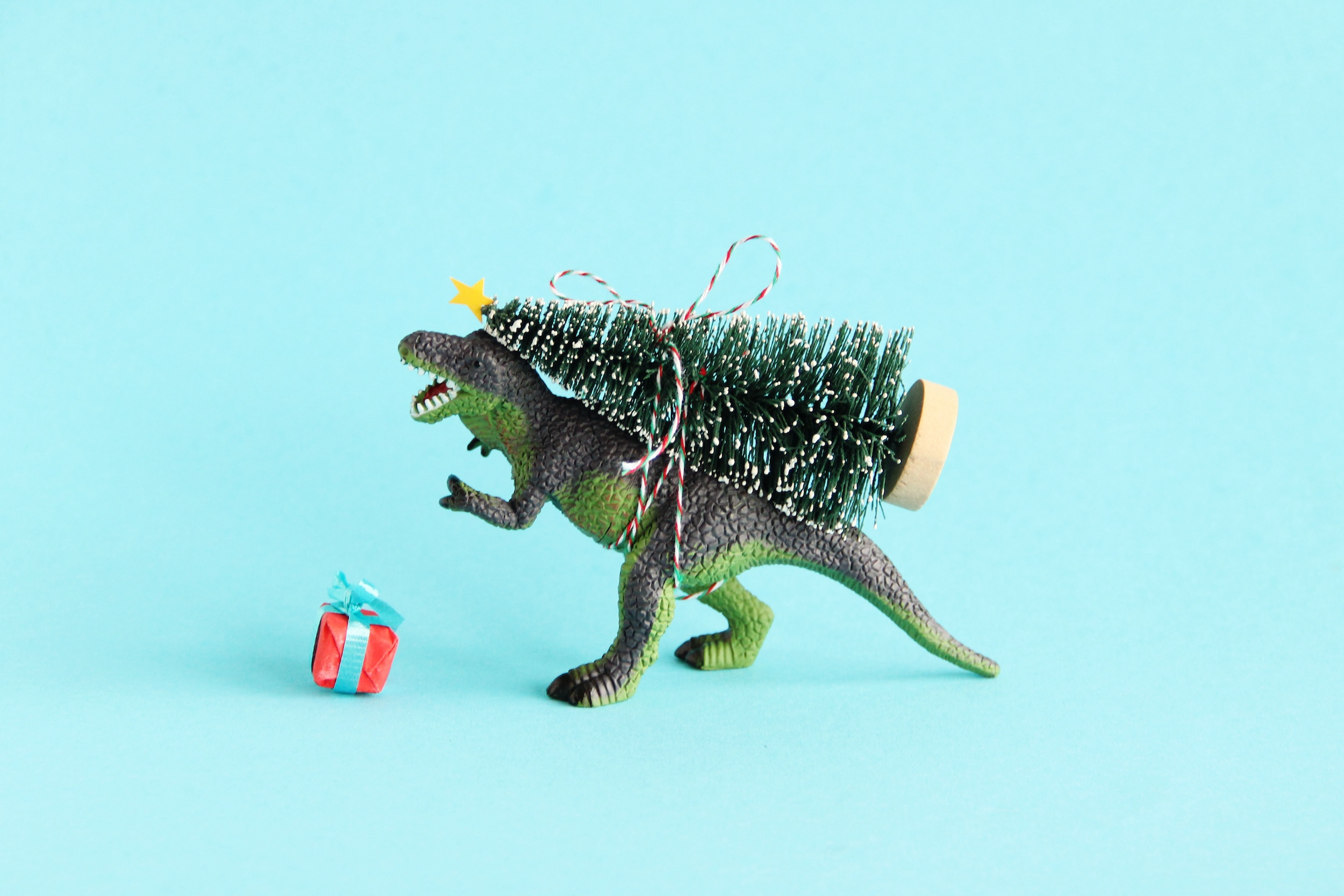 toy dinosaur with toy on back